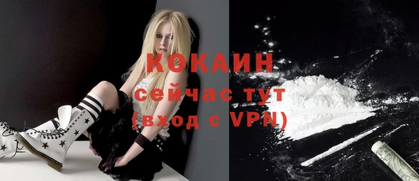 мет Бородино