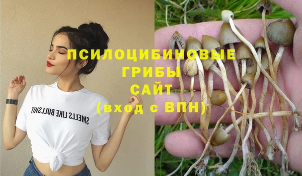 apvp Бугульма