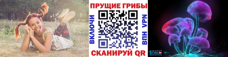 Галлюциногенные грибы мицелий  Купить закладки  Семилуки 